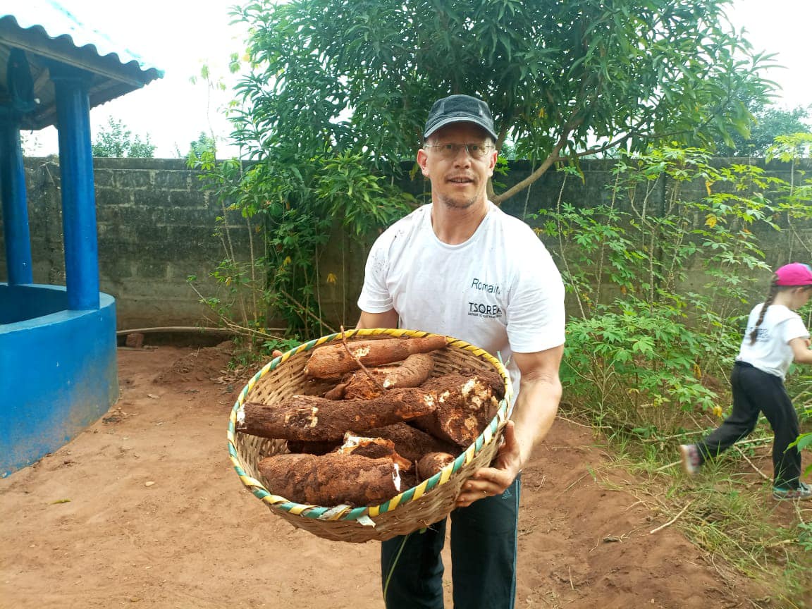 Récolte du manioc au Centre Tsorea